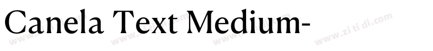 Canela Text Medium字体转换